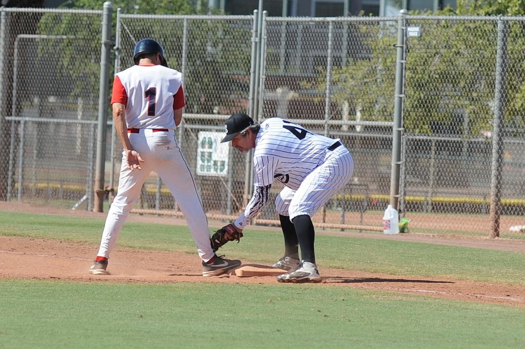 Seals_2019-10-09 (321).JPG - (c)2010 DeVetter